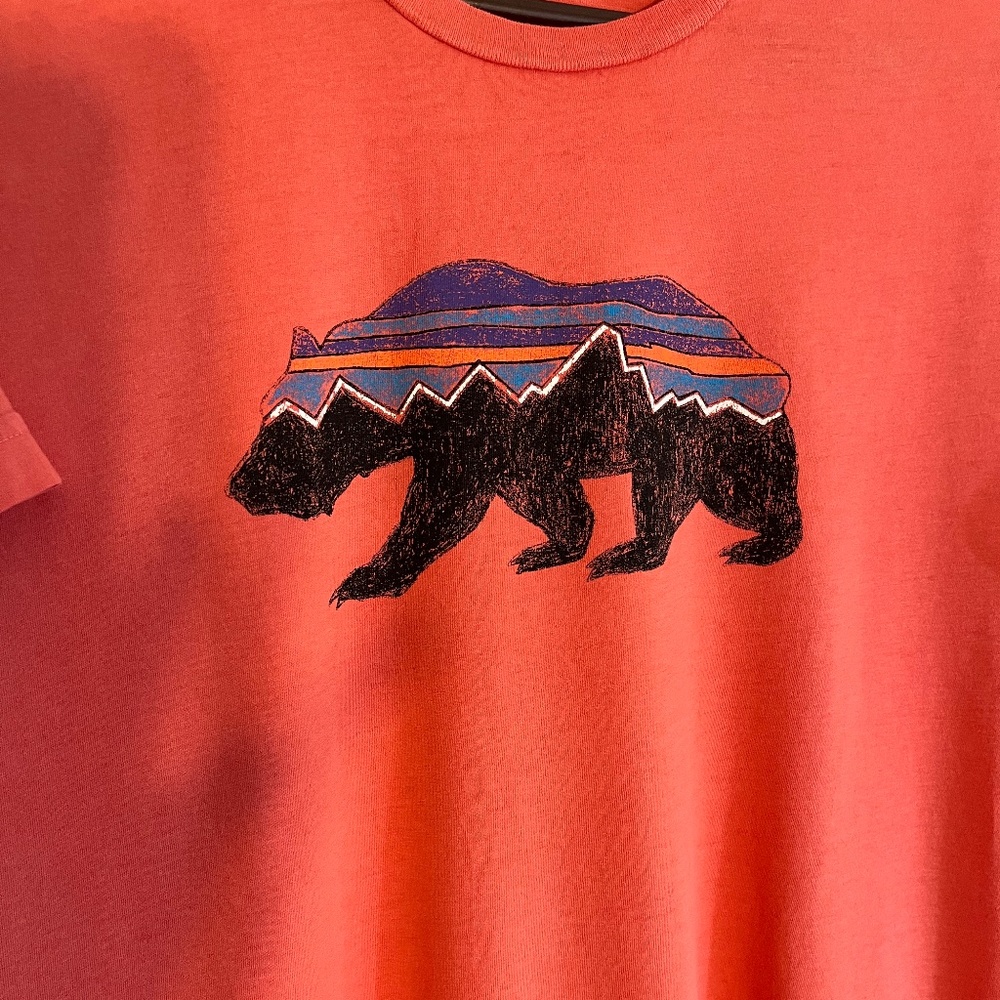 Patagonia MENS Fitz Roy Organic Cotton Coral Tee Size L - Picture 3 of 7
